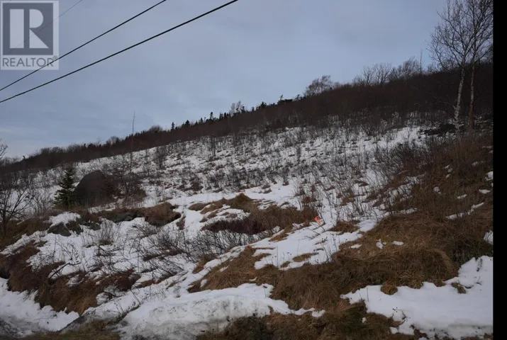 Lot 4 OLD MADDOX COVE Road, MADDOX COVE, Newfoundland & Labrador A0A3H0