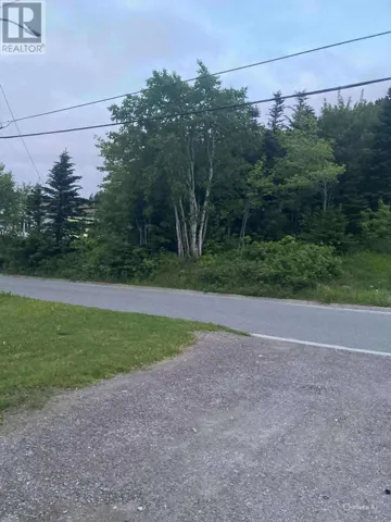 119 Bayview Heights, Corner Brook, Newfoundland & Labrador A2H5W7