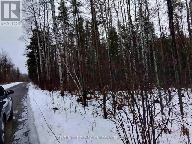 PART 13 GIRL GUIDE ROAD, Cobalt, Ontario P0C1C0