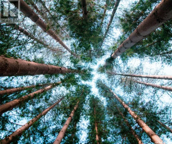 Lot 3 Block 4 South Shore Lane, Meeting Lake, Saskatchewan S0M2L0