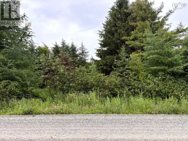 Upper Southwest Mabou Road, Glencoe Station, Nova Scotia B0E2W0