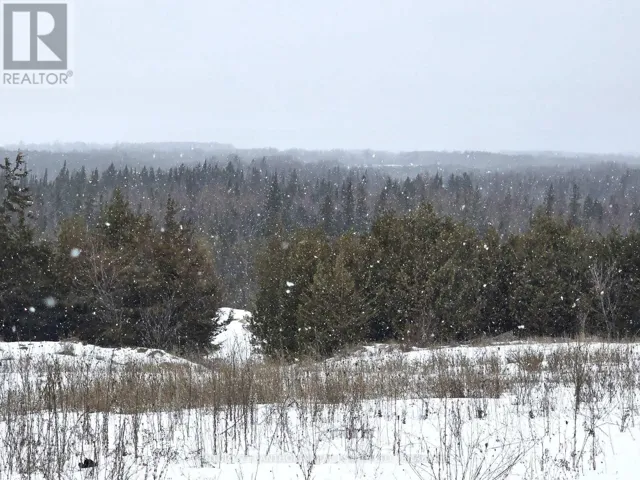 0 SHANNONVILLE ROAD, Tyendinaga (Tyendinaga Township), Ontario K0K1V0