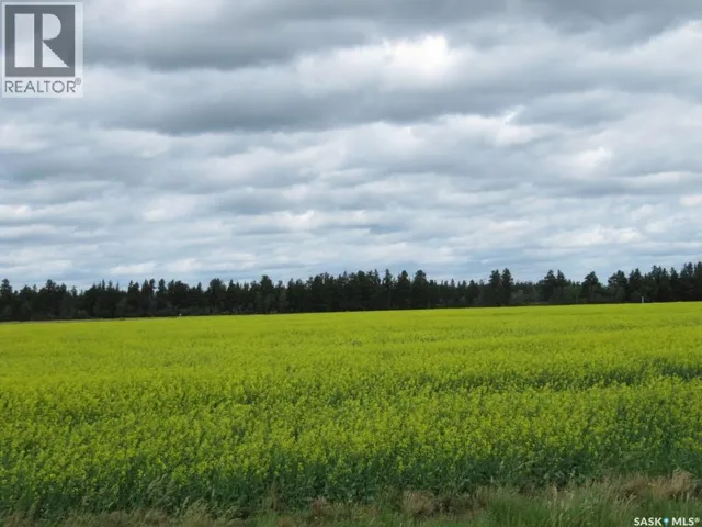 Lot 13 Parcel 3.53 Acres, Nipawin Rm No. 487, Saskatchewan S0E1E0