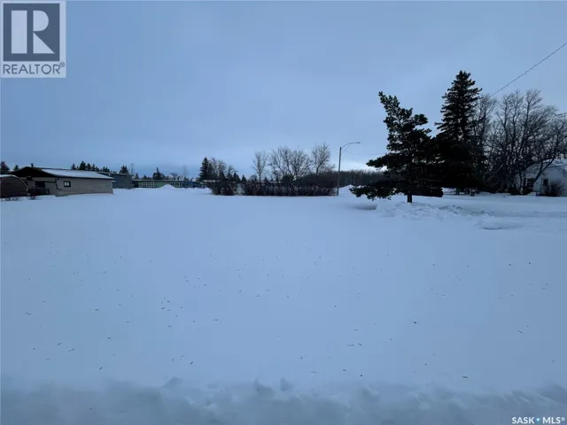 319 5th STREET, Star City, Saskatchewan S0E1P0