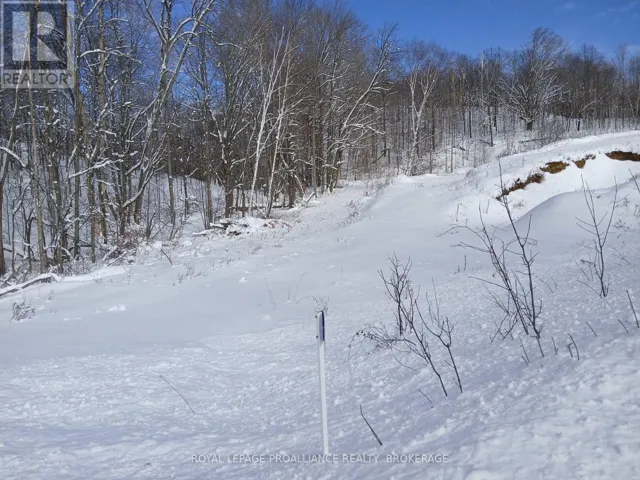 406 CROZIER ROAD, Tay Valley, Ontario K0G1X0