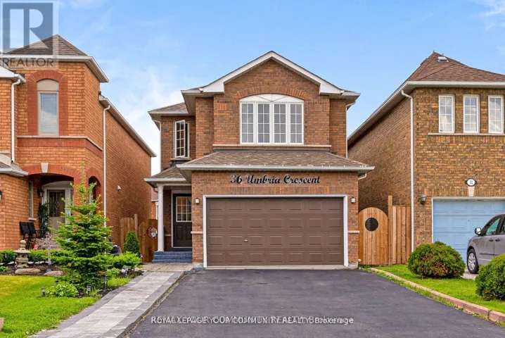 BSMT - 36 UMBRIA CRESCENT, Vaughan (West Woodbridge), Ontario L4H2E1