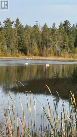 580223 SIDEROAD 60, Chatsworth, Ontario N0H1C0