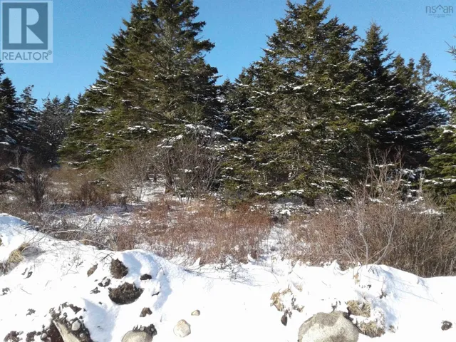 Lot Station Road, Shag Harbour, Nova Scotia B0W3B0