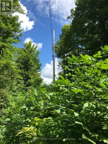 000 BLANCHARDS ROAD, Kawartha Lakes (Bexley), Ontario K0M2B0