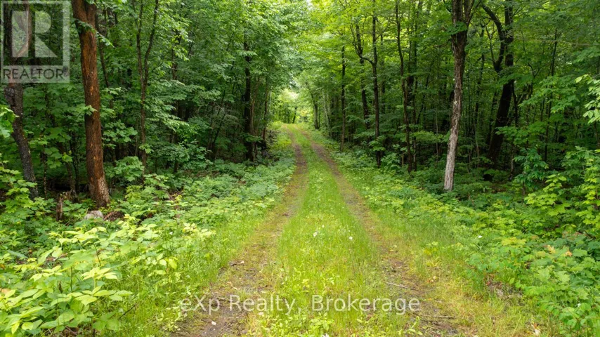 3 KINGFISHER ROAD, McDougall, Ontario P2A2W9