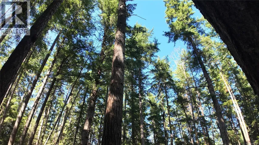 4480 Strachan Rd, Hornby Island, British Columbia V0R1Z0