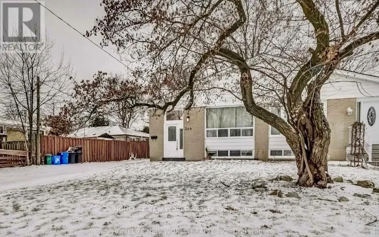 BASEMENT - 399 BROWNDALE CRESCENT, Richmond Hill (Crosby), Ontario L4C3H9