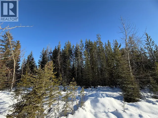 2 DALLAS Place, Elkford, British Columbia V0B1H0