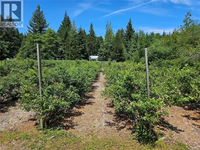 2156 Coleman Rd, Courtenay, British Columbia V9J1P2
