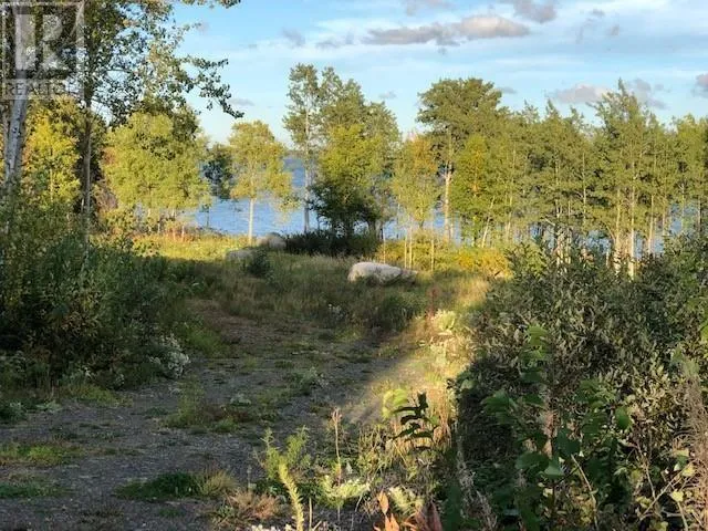 202 Comfort Cove Road, Comfort Cove-Newstead, Newfoundland & Labrador A0G3A0