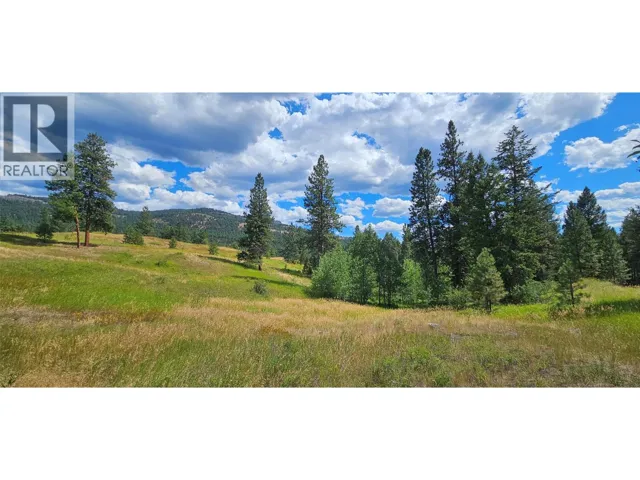 DL 311S NICHOLSON CREEK Road Unit# Lot A, Rock Creek, British Columbia V0H1Y0