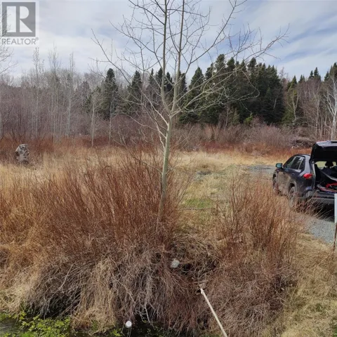 229 Main Street N, Glovertown, Newfoundland & Labrador A0G2L0