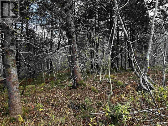 381 Marshalltown Road, Marshalltown, Nova Scotia B0V1A0