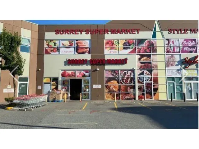 13889 104 AVENUE, Surrey, British Columbia V3T1W8