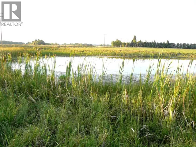 On Highway 598, Rural Clearwater County, Alberta T0M1H0