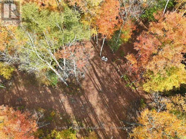 4488 KAWAGAMA LAKE ROAD, Algonquin Highlands (Sherborne), Ontario P0A1E0