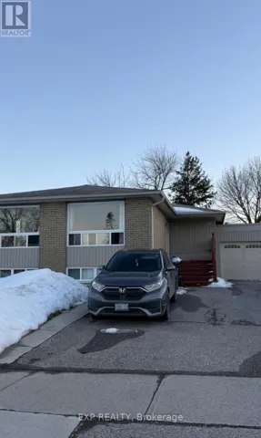 BASEMENT - 17 GABLE DRIVE, Brampton (Madoc), Ontario L6V2H2