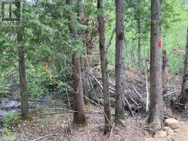 LOT 28 CONCESSION 11, Lake of Bays (Franklin), Ontario P0A1H0