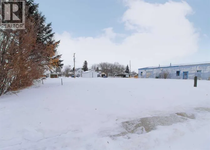5124 53 Avenue, Viking, Alberta T0B4N0