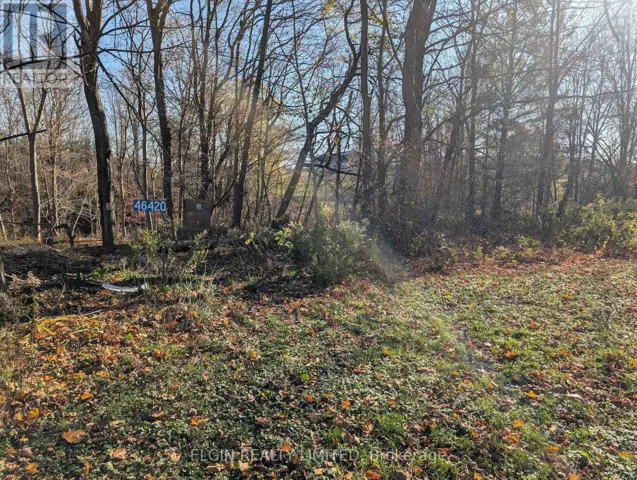 46420 METHODIST ST. STREET, Central Elgin (Sparta), Ontario N5P3S8