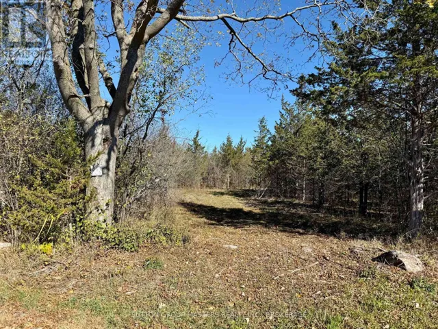 LOT 3 GALBRAITH GROVE ROAD, Stone Mills (Stone Mills), Ontario K0K3N0