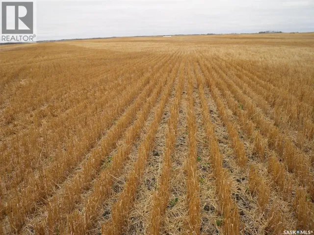 Olsen quarter, Birch Hills Rm No. 460, Saskatchewan S0K0G0