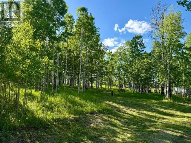 3, 5228 Highway 579, Rural Mountain View County, Alberta T0M2E0