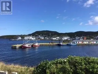 213A Main Road, Winterton, Newfoundland & Labrador A0B3M0