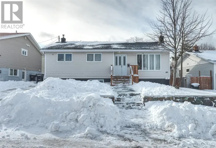42 Diana Road, St. John's, Newfoundland & Labrador A1B1H8