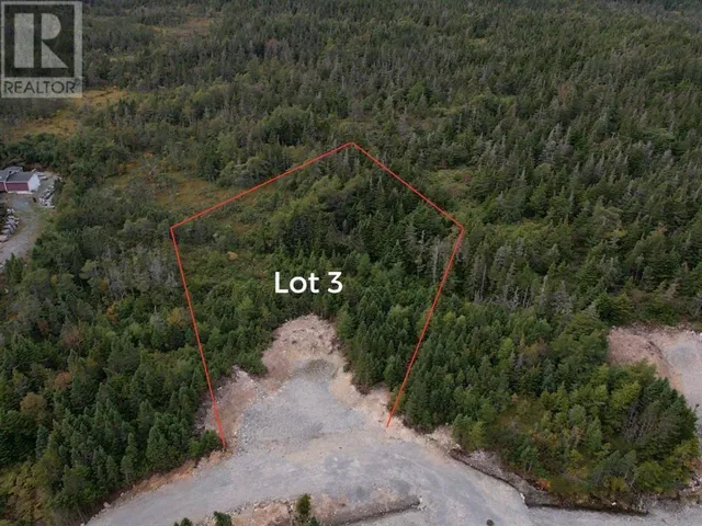 0 Beaver Pond Road Unit#Lot 3, Cape Broyle, Newfoundland & Labrador A0A1P0