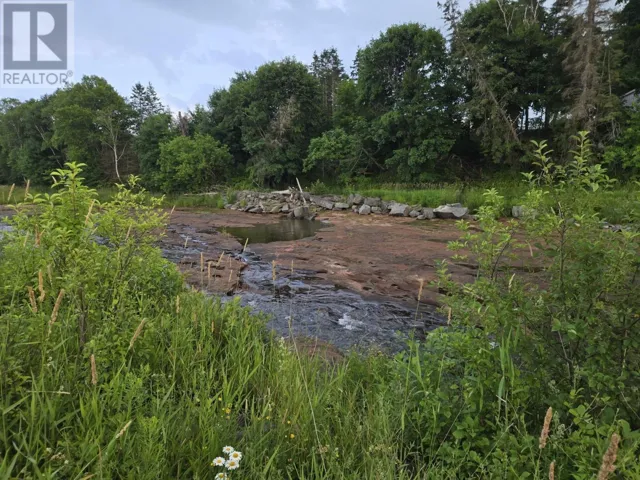 Lot 3 Salmon River Road, Murray Siding, Nova Scotia B2N7E1