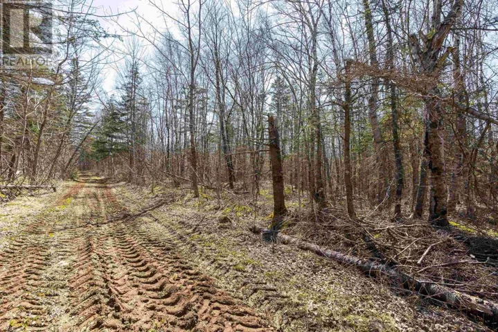 Lot 2 Seaman Street, East Margaretsville, Nova Scotia B0S1N0