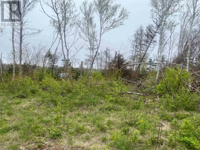 Lot Cape Road, North Rustico, Prince Edward Island C0A1X0