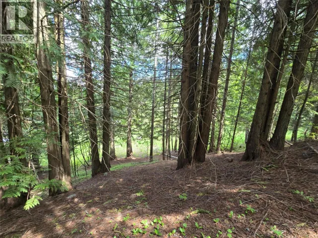 Deer Park Drive Lot# 21, Rossland, British Columbia V0G1Y0
