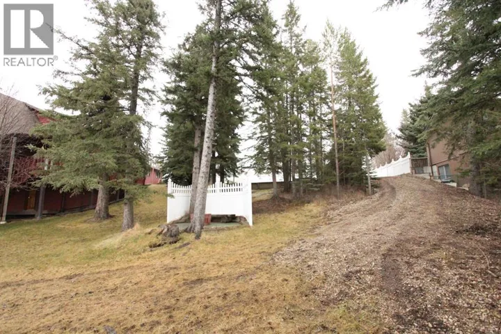 5408 60 Street, Rocky Mountain House, Alberta T4T1K8