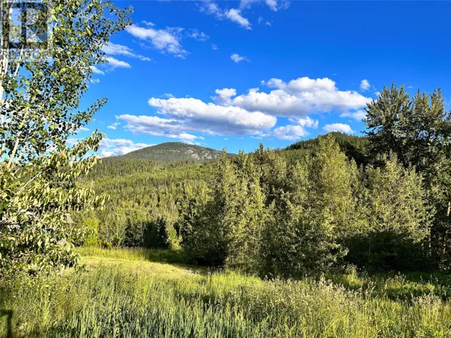 917 Redstone Drive, Rossland, British Columbia V0G1Y0