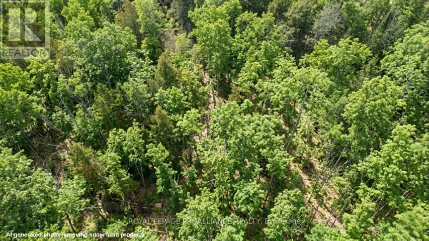 0 SWINBURNE LANE, Stirling-Rawdon (Rawdon Ward), Ontario K0K2M0