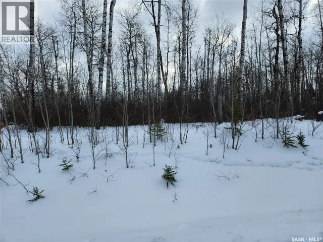 1 Smits AVENUE, Nipawin Rm No. 487, Saskatchewan S0E0P0