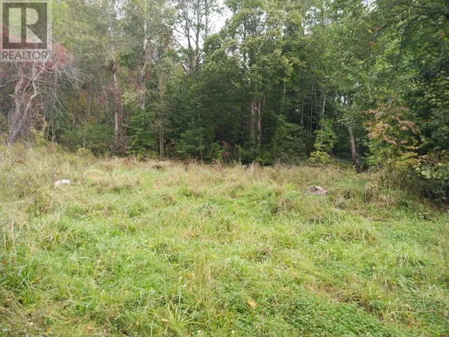 793 Lahave Street, Bridgewater, Nova Scotia B4V2V2