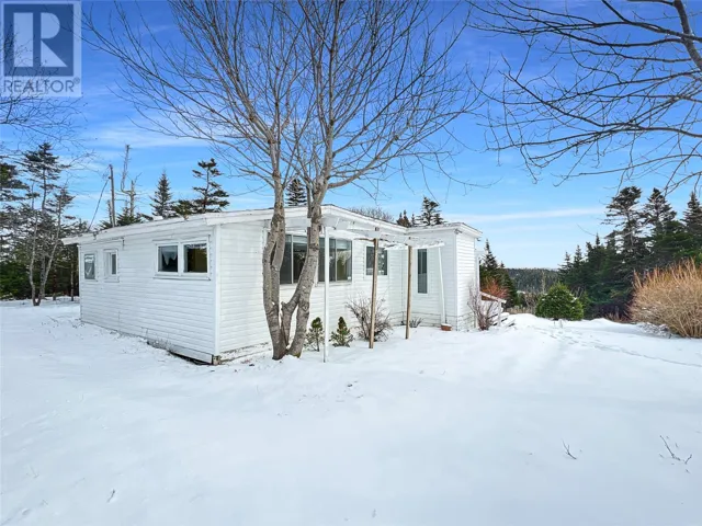 204-206 Vineland Road, Salmonier, Newfoundland & Labrador A0A2R0