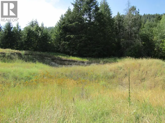 8841 Riverside Drive, Grand Forks, British Columbia V0H1H0