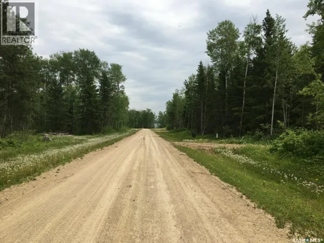 3 Wilson CRESCENT, Big River Rm No. 555, Saskatchewan S0J0E0