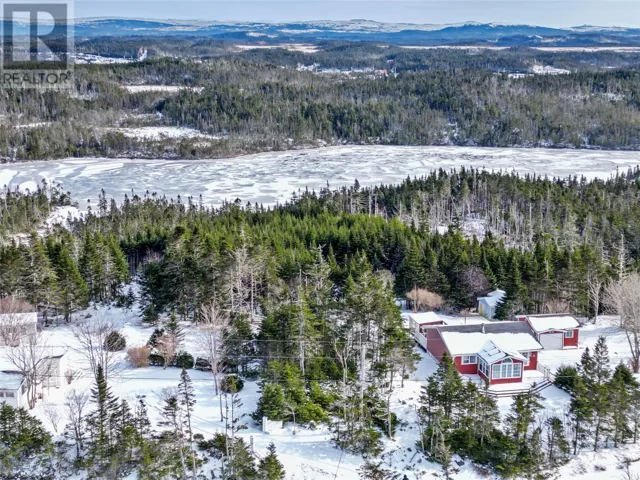 206 Vineland Road, Salmonier, Newfoundland & Labrador A0A2R0