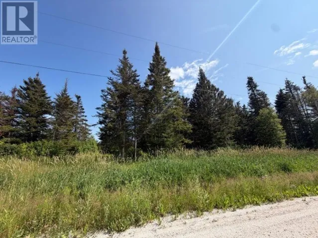5 Meadow Brook Rd Ext, Reidville, Newfoundland & Labrador A8A0B4