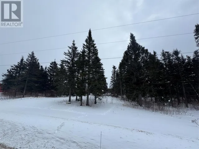5 Meadow Brook Rd Ext, Reidville, Newfoundland & Labrador A8A0B4